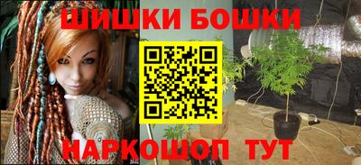 индика Лесосибирск